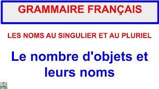 GRAMMAIRE  Les noms au singulier et au pluriel  Le nombre et leurs noms  Activité 2  Partie 2 [upl. by Okihcas697]