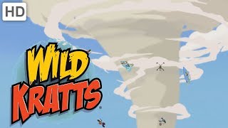 Wild Kratts  Tornadoes and Thorns A Prairie Adventure [upl. by Norvin14]