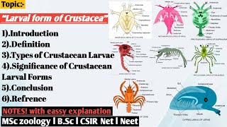 Larval form of crustacea  Larval forms and their significance crustacean  crustacea [upl. by Sternlight]