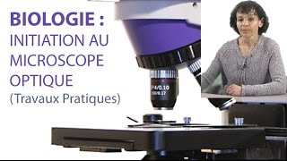 Initiation au Microscope Optique [upl. by Ajet]