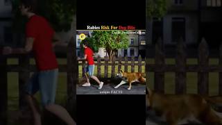 Rabies Risk For Dog Bite 🐶 [upl. by Arinaid695]