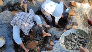 मासे पकडण्यासाठी घेतली पहिल्यांदा इतकी मेहनत बनवली भन्नाट रेसिपी Traditional fishing [upl. by Jacobine]