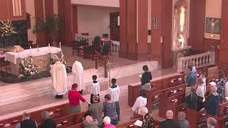 St Petronille LiveStream  Sunday June 2 2024 930 Mass [upl. by Newkirk]