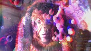 Grumbling Fur  Heavy Days Official Music Video [upl. by Enelrihs]