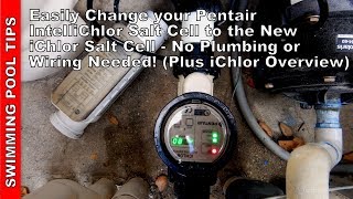 Easily Change a Pentair IntelliChlor Salt Cell to the New iChlor Cell No Plumbing or Wiring Needed [upl. by Parris]