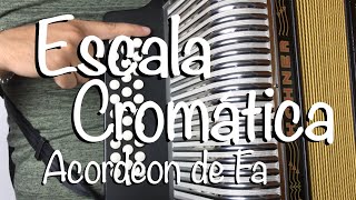 TEORÍA Escala Cromática en Acordeon de FA Notas sencillas [upl. by Novyar]