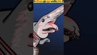 Ajibo Garibaldi jiv fish factsinhindi animals amazingfacts knowledge dinesh new trending fa [upl. by Anahc896]