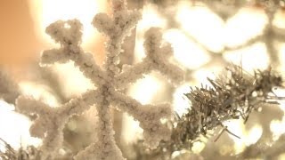 How to Make Borax Crystal Snowflakes  Kin Community [upl. by Lanita]