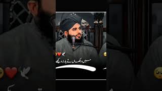 speaches peerajmalrazaqadri peer poetry facticals peerajmal facts es real story center [upl. by Ennaeirrac181]