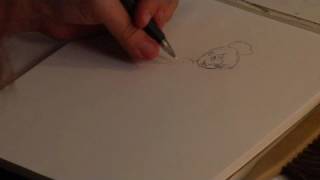 Drawing Popular Cartoon Characters  How to Draw Tinker Bell [upl. by Lemor832]