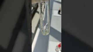 cyclohexene react with bromine water [upl. by Saerdna]