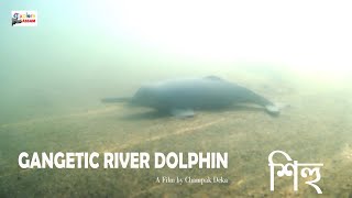 GANGETIC RIVER DOLPHIN A Film By Champak Deka [upl. by Brittani437]