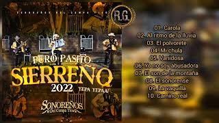 Puro Pasito Sierreño 2023  Sonoreños Del Compa Tico Disco Completo [upl. by Gabbi]