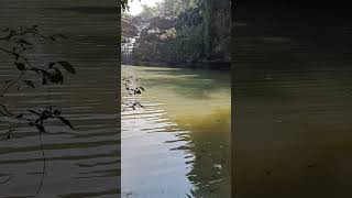 Pandav falls Madhya Pradesh India travel waterfalls [upl. by Iaht]