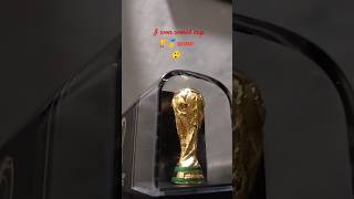 World cup 2022 champion in my hand [upl. by Mozes]