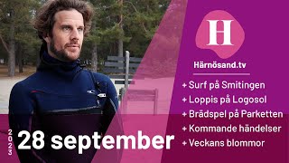 HärnösandTV  28 september 2023 [upl. by Aloysia]