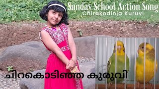 Chirakodinja Kuruvi  Sunday School Action SongsundayschoolmalayalamsongchristianLincy Janeesh [upl. by Ynaffyt]