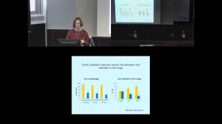 Roles of Rho GTPases in leukocyte and cancer cell transendothelial migration [upl. by Hartley166]