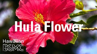 Hula Flower Beautiful Tropical Music amp Relaxing Hawaiian Music LIVE for Paradise Holiday [upl. by Lap717]