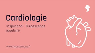 Turgescence jugulaire  Inspection de Cardiologie [upl. by Aronek620]