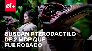 En Busca del Pterodáctilo Bebé el Robo de los 2 MDP en Perisur [upl. by Tabbi]