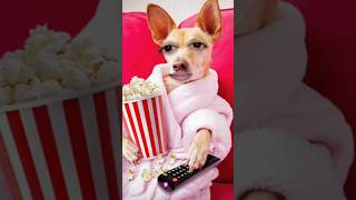 popcorn life 🤣🤣 shorts popcorn shortvideo lagranacomedyfun [upl. by Ynots299]