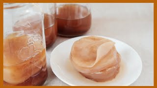 How to Make KOMBUCHA Scoby from Scratch [upl. by Ettenom645]