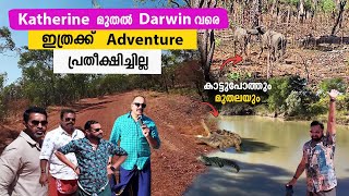 കാട്ടുപോത്തിന് മുന്നിൽ പെട്ടു  katherine to darwin Road trip [upl. by Ynagoham357]