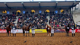 Expo Rural Palermo 2024  Caballos de Polo 1 [upl. by Soirtemed]