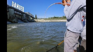 Fishing a HUGE DAM for MONSTER FISH  CATFISHING [upl. by Sainana]