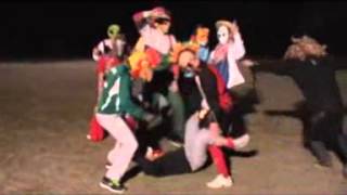 HARLEM SHAKE COSMOS 2 [upl. by Malley]