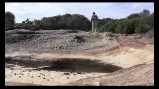 Bundeena Wharf to Marley Head Loop Royal National Park [upl. by Walling504]