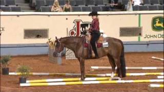 2009 AQHYA World Show  Olivia Rogers  Trail [upl. by Ynohtnaed]