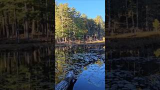 A Hidden Hiking Pond and its BEAUTIFUL [upl. by Giorgio]