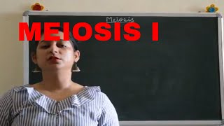 MEIOSIS I Easy explanation BIOLOGY  ICSE CBSE Board Exams [upl. by Gilberto431]