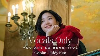 You are so beautiful 이쁘다니까  Goblin Ost by Eddy Kim에디킴 Vocals only  English lyrics [upl. by Gottuard]