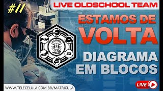 Aula Grátis Como ler DIAGRAMAS EM BLOCOS e ESQUEMA ELÉTRICO para reparar Smartphones iPhone Android [upl. by Abagail]