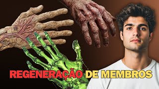 O Fascinante Poder de Regeneração dos Axolotes Como Esses Animais Podem Inspirar a Medicina Humana [upl. by Imray494]