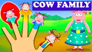 Cow Finger Family  Finger Family Rhymes For Children [upl. by Evelyn]