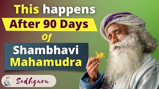 Something Phenomenal Happens After 90 Days Of Shambhavi Mahamudra Shambhavi Mahamudra Kriya Sadhguru [upl. by Garges]