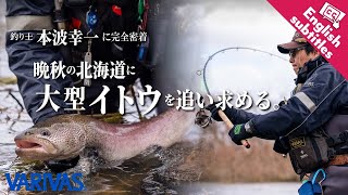 釣り士・本波幸一に完全密着 晩秋の北海道に大型イトウを追い求める。【VARIVASトラウト攻略最前線 vol8】★ [upl. by Alwyn]