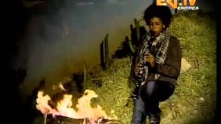 Entetmelales Instrumental by Selam Habtom  Eritrean music [upl. by Hendry]