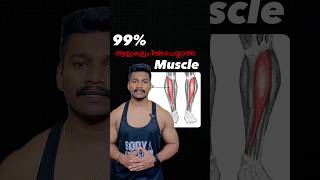 Are you regularly training your Tibialis Anterior Muscleworkout fitness gym bodybuilding [upl. by Yortal]