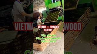 17 Film faced plywood 1250x4000 🥒 Size cutting as per request Floor beam column formwork export [upl. by Erdnoid973]