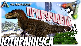 ARK Survival Evolved  ПРИРУЧЕНИЕ ЮТИРАННУСА TAMING YUTYRANNUS [upl. by Demetria]