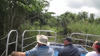 Lake Jesup Alligator trip Orlando FL 2013 [upl. by Bobina]