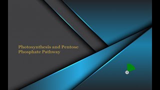 4a Photosynthesis and Pentose Phosphate Pathway [upl. by Nekciv]