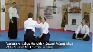 Aikido Variation KokyuHo within Suwari Waza Ikkyo  Aikido Okuden Seminar Salzburg 2014 p11 [upl. by Aelyak]