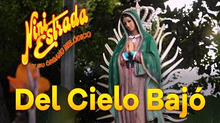 Del Cielo Bajó  Nini Estrada Letra Lyrics [upl. by Sitnalta294]