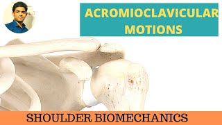 ACROMIOCLAVICULAR MOTIONS SHOULDER BIOMECHANICS [upl. by Nehgam]